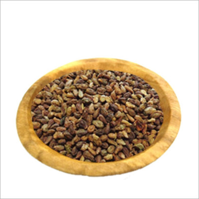 Rolimoli Beej Shivlangi Seed(200 per packet)