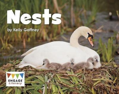 Nests(English, Paperback, Gaffney Kelly)