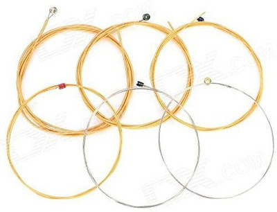 SG MUSICAL Acoustic SGM--ST2 Multi Color (6 Strings) Guitar String(6 Strings)