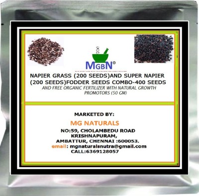 MGBN NAPIER GRASS (200 SEED) AND SUPER NAPIER (200 SEED)FODDER SEEDS COMBO- (400 SEED) AND FREE ORGANIC FERTILIZER WITH NATURAL GROWTH PROMOTORS (50 GM) Seed(400 per packet)