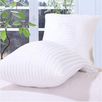 Texlux Microfibre Solid Cushion Pack of 2(White)