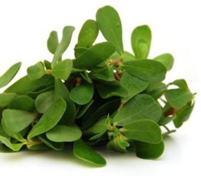 XOLDA Kulfa/Purslane Seed(10 per packet)