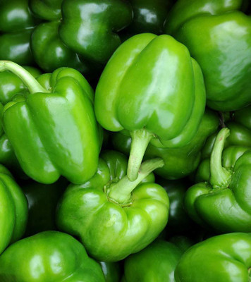 XOLDA Green Capsicum Seed(38 per packet)