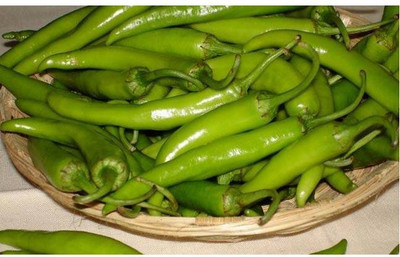 Paudha GREEN CHILLI Seed(25 per packet)