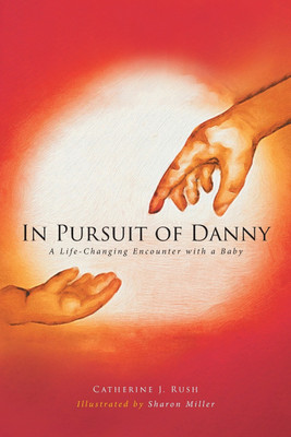 In Pursuit of Danny(English, Paperback, Rush Catherine J)