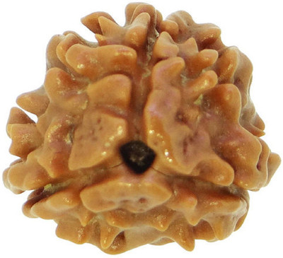 SHIVOHAM Lord Agnidev 3-Mukhi Nepal Rudraksha (LAB_CERTIFIED) Wood Pendant