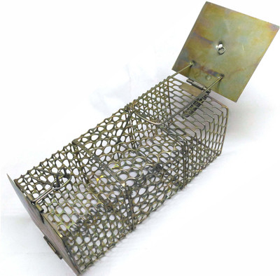 la jarden Medium & Large RAT TRAP COMBO PACK Live Trap