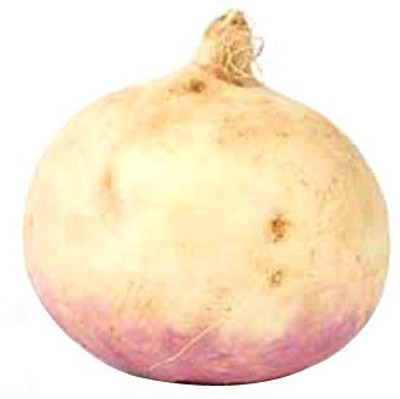 syed garden RED turnip 100 SEED Seed(10 per packet)