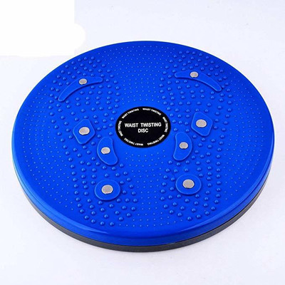 A L N Acupressure Twister, Power Mat, Magnetic Therapy (Pyramids n Magnets) Ab Exerciser Ab Exerciser(Blue)