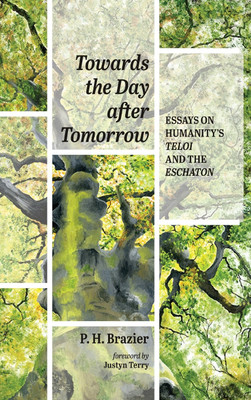 Towards the Day After Tomorrow(English, Hardcover, Brazier P H)