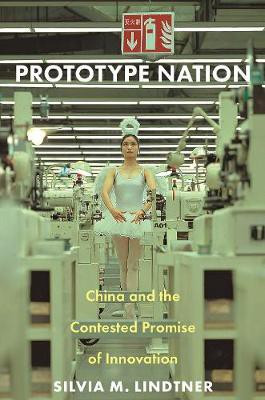 Prototype Nation(English, Paperback, Lindtner Silvia M.)
