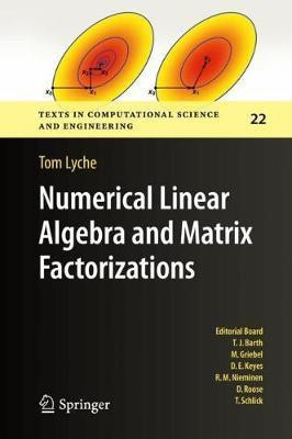 Numerical Linear Algebra and Matrix Factorizations(English, Hardcover, Lyche Tom)