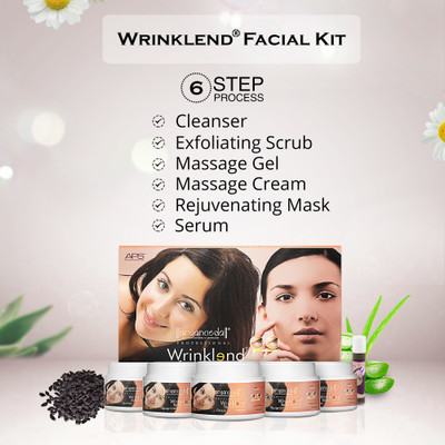 28% OFF on Aryanveda Herbals APS Wrinklend Kit(6 x 85 g) 28% OFF on Aryanveda Herbals APS Wrinklend Kit(6 x 85 g)