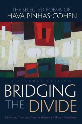 Bridging the Divide(English, Paperback, unknown)