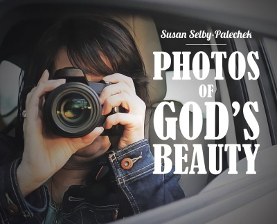 Photos of God's Beauty(English, Hardcover, Selby-Palechek Susan)