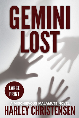 Gemini Lost(English, Paperback, Christensen Harley)