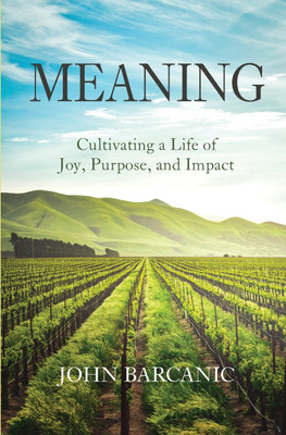 Meaning(English, Paperback, Barcanic John)