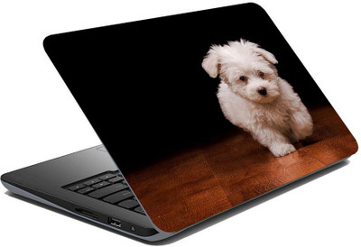 BRITISH TERMINAL lap5094 Vinyl Laptop Skin Compatible for 15.6 inch(Theme: Patterns)