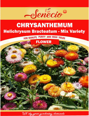 SENECIO® Helichrysum Bracteatum Chrysanthemum Mix Variety Seed(12 per packet)