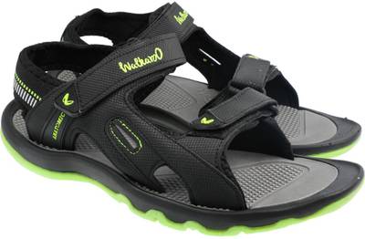 WALKAROO Men Black Sandals Price History