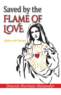Saved by the Flame of Love(English, Paperback, Alexander Deacon Norman)