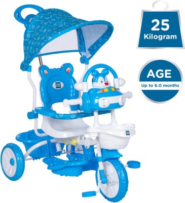 6 month baby toys flipkart