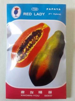 Green Garden Red Lady 786 Papaya Taiwan Seeds F1 Hybrid Seed( 90 Seeds ) Seed(90 per packet)