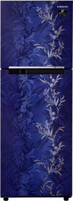 SAMSUNG 253 L Frost Free Double Door 2 Star Refrigerator  (Mystic Overlay Blue, RT28T30226U/HL)