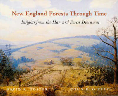 New England Forests Through Time(English, Paperback, Foster David R.)