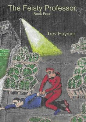 The Feisty Professor - Book Four(English, Paperback, Haymer Trev)