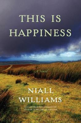 This Is Happiness(English, Paperback, Williams Niall)