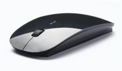 PremiumAV Terabyte USB2.0 Wireless Mouse for PC/Laptop (Black) Wireless Optical  Gaming Mouse(USB 2.0, Black)