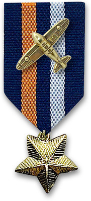 FURE Glider Badge Brooch(Gold)