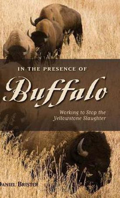 In the Presence of Buffalo(English, Hardcover, Brister Daniel)
