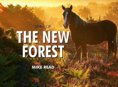 Spirit of the New Forest(English, Hardcover, Read Mike)