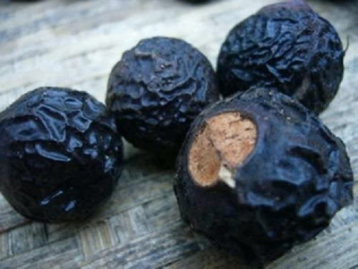 Green India Sapindus mukorossi/Indian soapberry/Washnut/Soapnut/Sapindus laurifolius/Reetha tree Seeds - Pack of 10 Gram Seed(5 per packet)