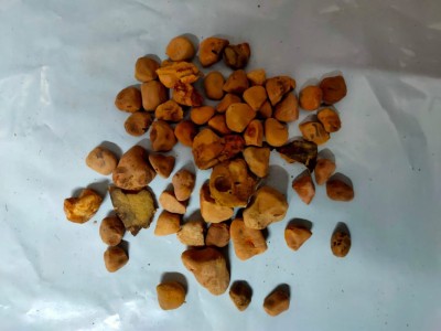 Green India Adansonia Digitata / Kalpavriksh /Baobab Plant/ Kalpavruksk Seed Pack Of 20 G Seed(20 per packet)