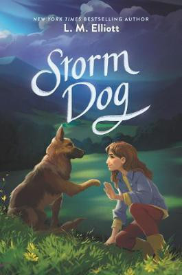 Storm Dog(English, Hardcover, Elliott L. M.)