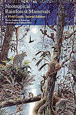 Neotropical Rainforest Mammals(English, Paperback, Emmons Louise H.)