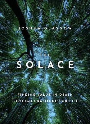 The Solace(English, Hardcover, Glasgow Joshua)