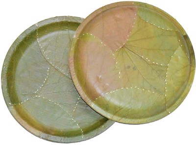 SWHF Areca Leaf 8 Inch Disposable Biodegradable Round Eco friendly Plates Dinner Plate(Pack of 25)