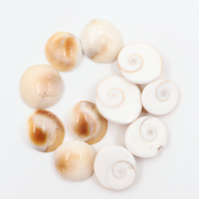 Multiline Company Decorative Showpiece  -  1.2 cm(Stone, White)