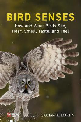 Bird Senses(English, Paperback, Martin Graham R.)
