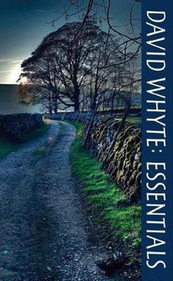 David Whyte Essentials(English, Paperback, Whyte David)