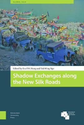Shadow Exchanges along the New Silk Roads(English, Hardcover, unknown)