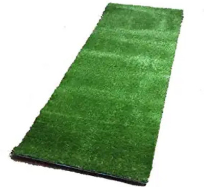 shopgallery Green Polypropylene Runner(2 ft,  X 6 ft, Rectangle)