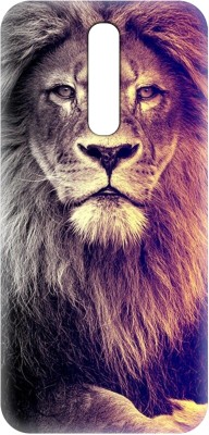 Smutty Back Cover for Oppo F11 Pro, CPH1969 - Lion Print(Multicolor, Hard Case, Pack of: 1)