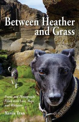 Between Heather and Grass(English, Paperback, Tran Xenia)