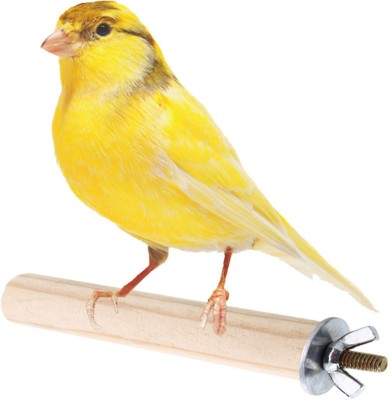 Sage Square 4 Inches / 10 cm Natural Habitat Wooden Bird Perch / Stand / Toy for Birds (Light Weight) Wooden Training Aid, Stick For Bird