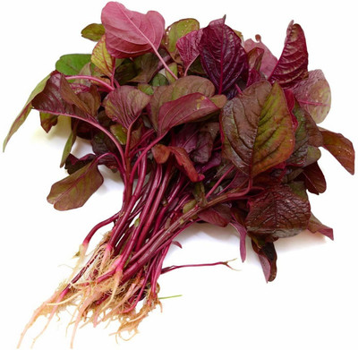 Qualtivate ® Red(Amaranthus) Lal Saag Cheera Hybrid Spinach Seeds-150 Seed Seed(150 per packet)